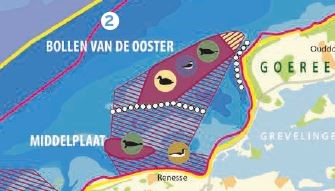 Bericht Bollen van de Ooster en Middelplaat vanaf 1 april ruimer toegankelijk bekijken
